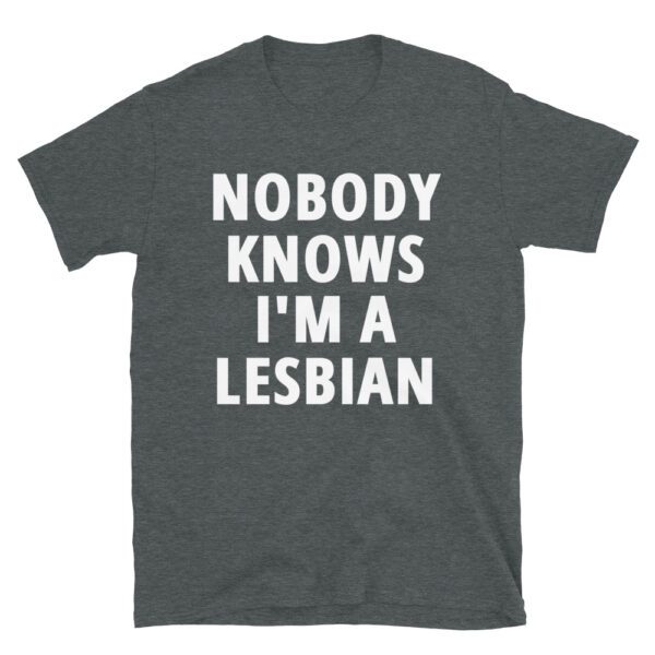 Nobody Knows I M A Lesbian T Shirt Pygear