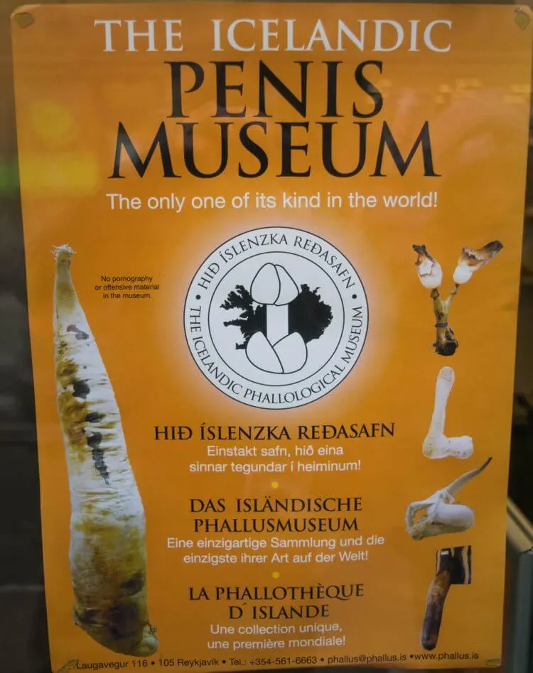 Penis Museum Iceland