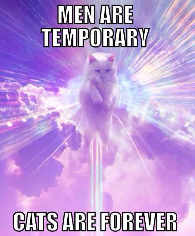 Men are temporary Cats are forever