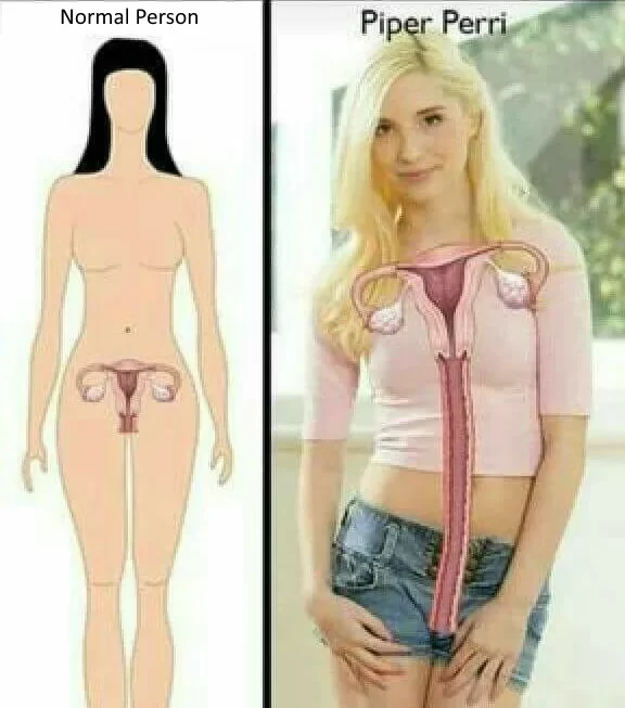 Normal person vs Piper Perri anatomy