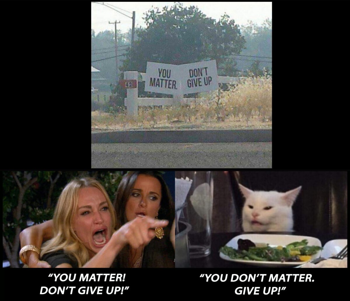 You Don't Matter Give Up - You Matter Don't Give Up Woman Yelling At The Cat meme