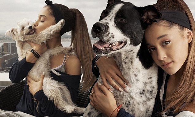 Ariana Grande is an animal rights activist who take time off of her busy schedule to rescue dogs. PYGear.com