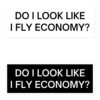 Do I Look Like I Fly Economy Sticker Pack