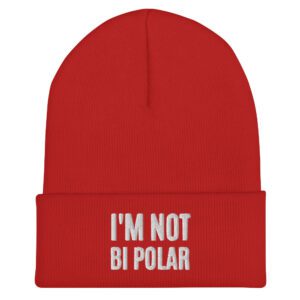 Alternative view of I'M NOT BI POLAR beanie (embroidered)