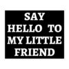 Say Hello To My Little Friend sticker
