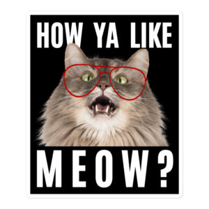 'How Ya Like Meow?' Cat with Glasses sticker