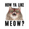 ‘How Ya Like Meow?’ Meowing Cat with Glasses sticker