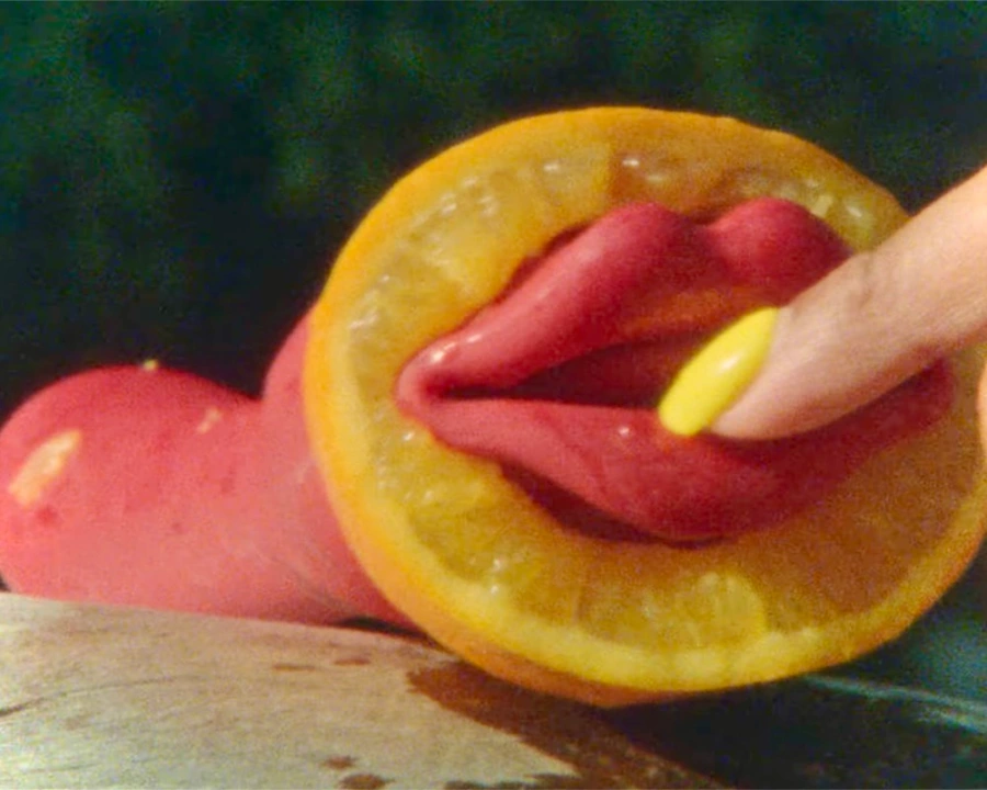 Janelle Monae's Lipstick Lover explicit music video