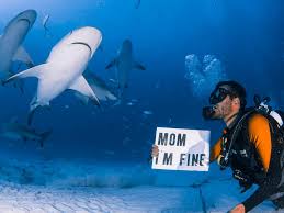 MOM I’M FINE Jonathan Kudden Quiñonez sharks