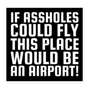 If Assholes Could Fly This Place Would Be Airport sticker