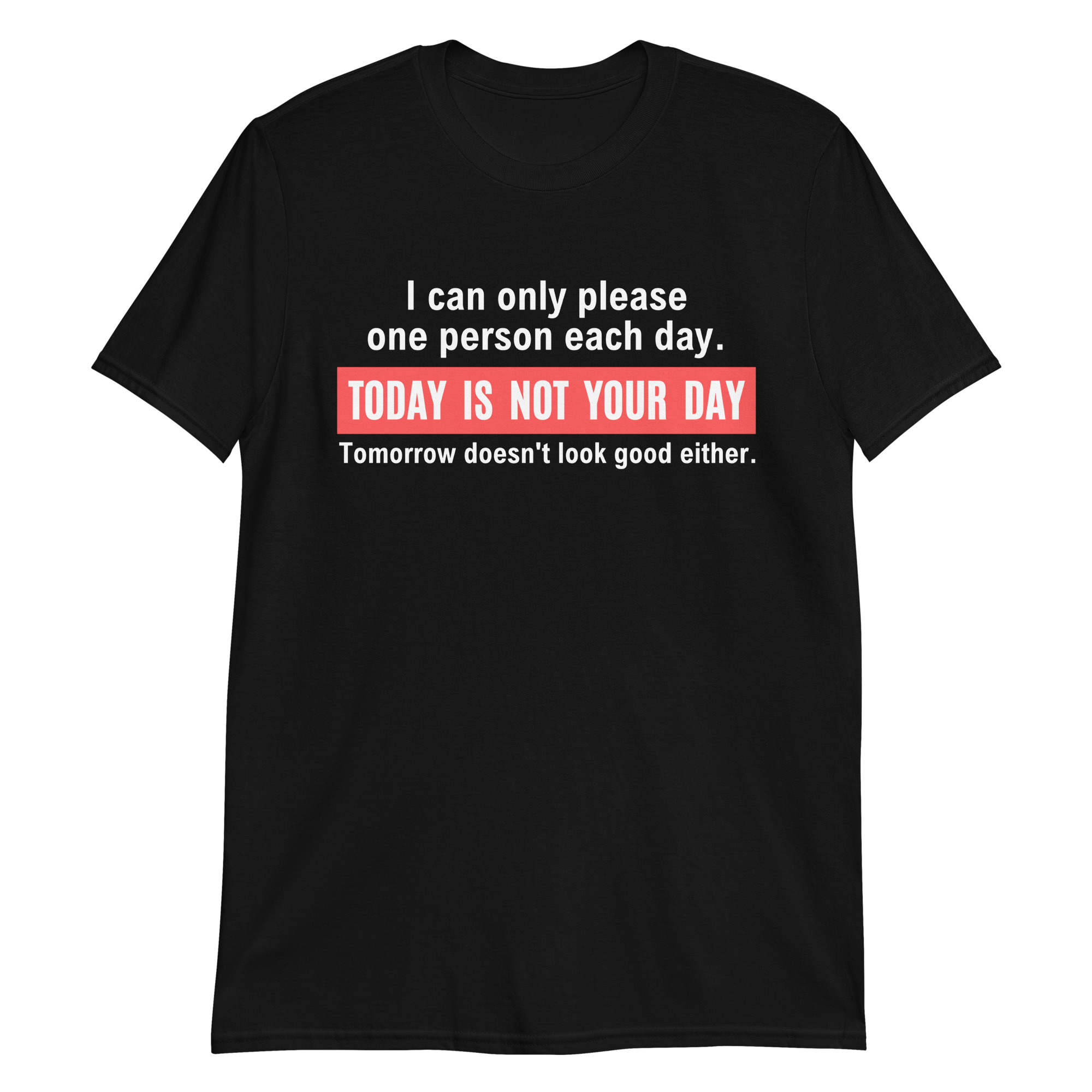 I Can Only Please One Person Each Day Today Is Not Your Day T-Shirt