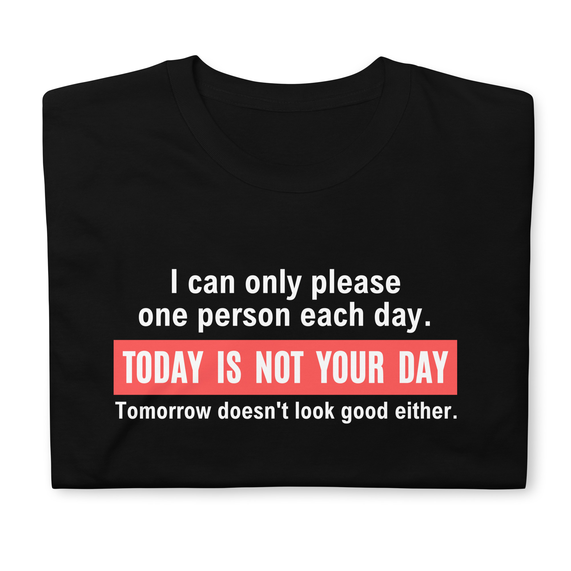 I Can Only Please One Person Each Day Today Is Not Your Day T-Shirt - Image 2