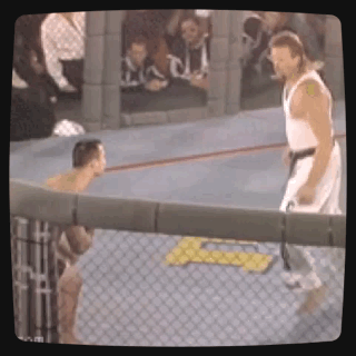 Harold Howard UFC gif