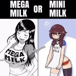 MEGA MILK or MINI MILK