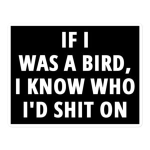 If I Was A Bird I Know Who I'd Shit On sticker