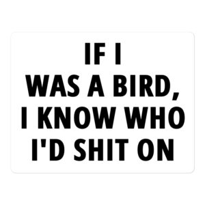 If I Was A Bird I Know Who I'd Shit On sticker (White)