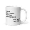 I Know Everything Happens For A Reason But What The Fuck mug