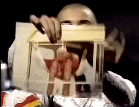 Sinead O'Connor ripping pope picture GIF