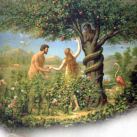 forbidden fruit