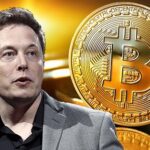 Elon Musk bitcoin