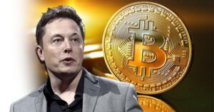 Elon Musk bitcoin