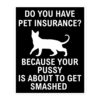 Do You Have Pet Insurance Because Your Pussy Is About To Get Smashed sticker
