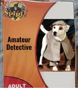 Amateur Detective Halloween Costume
