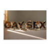 Gay Sex Cats sticker