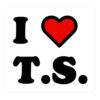 I Heart T.S. sticker