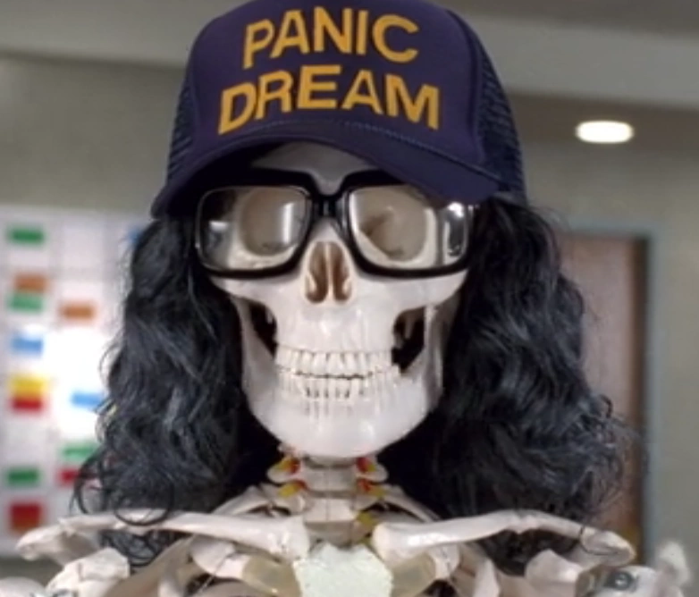Frank's 30 Rock PANIC DREAM trucker hat