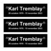 Les Cowboys Fringants Karl Tremblay (28 octobre 1976 - 15 november 2023) Stickers