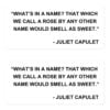 What's in a name - Juliet Capulet quote Sticker Pack