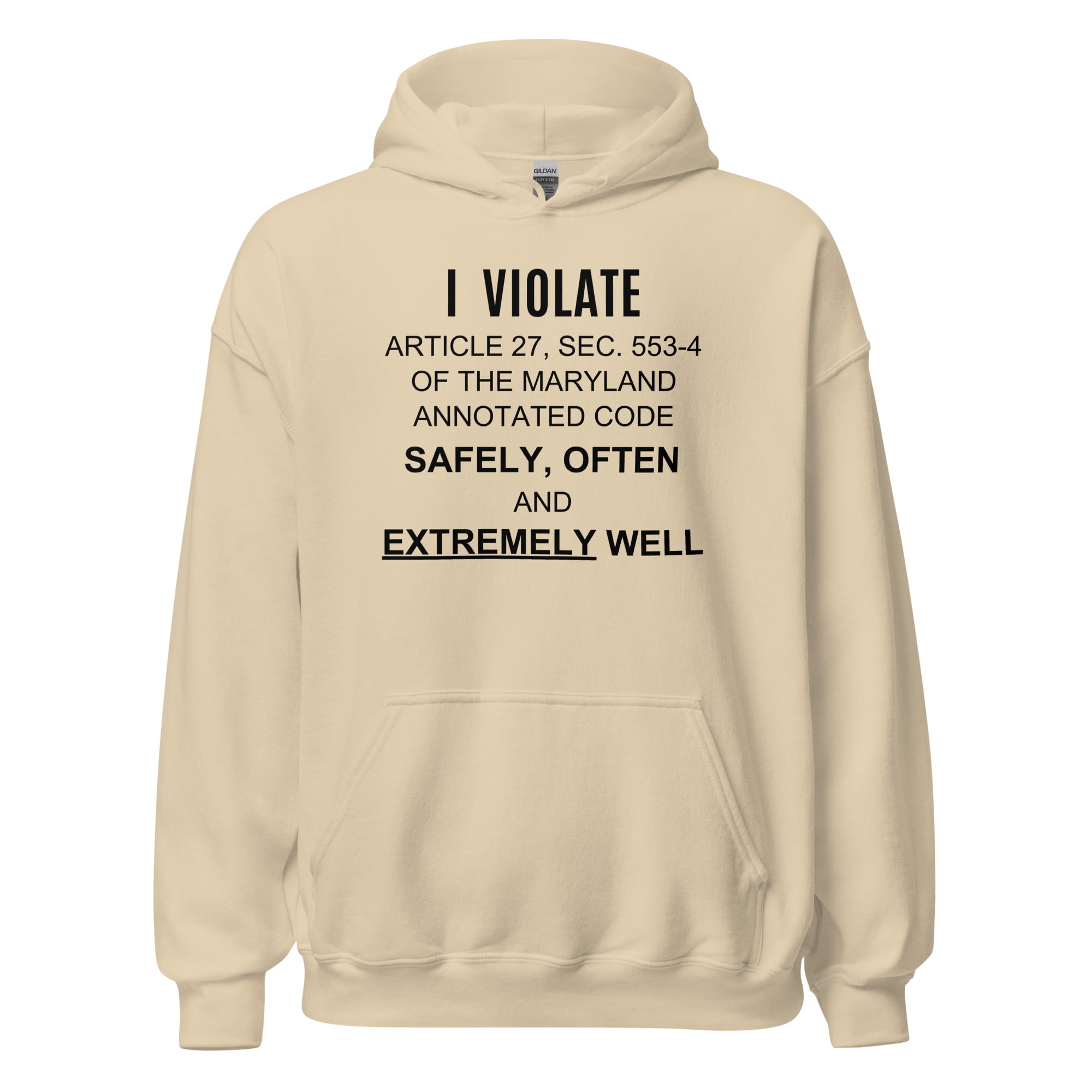 I Violate Article 27 Sec 553-4 Of The Maryland Annotated Code Safely, Often, And Extremely Well hoodie - Image 8