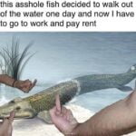 Fuck Evolution