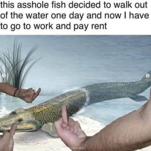 Fuck Evolution