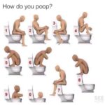 How Do You Poop
