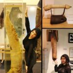Iceland Penis Museum