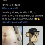 NFT kidney meme