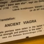 Penis Museum Iceland - Whale penises were used as ancient viagra