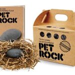 Pet Rock