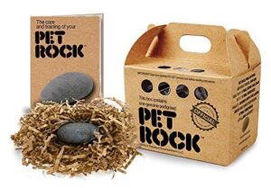 Pet Rock