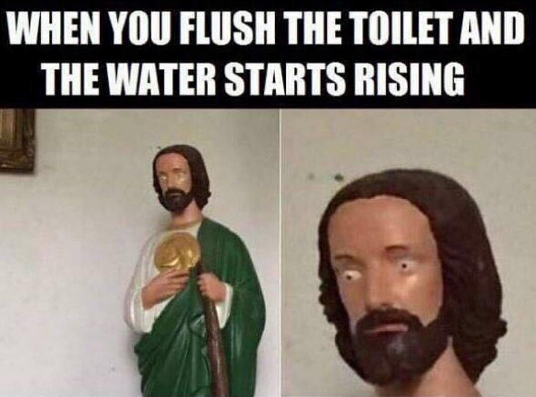 When You Flush The Toilet And The Water Starts Rising