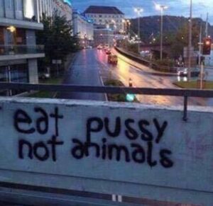 eat pussy not animals graffiti bridge meme