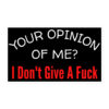 Your Opinion Of Me I Don't Give A Fuck sticker