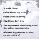 snow storm meme employers