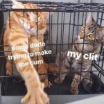 Bad Pussy Eater