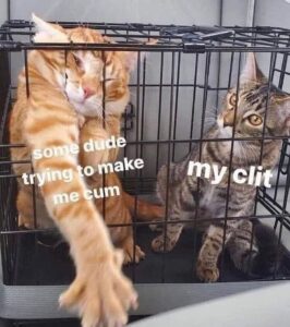 Bad Pussy Eater