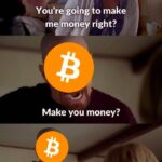 Bitcoin Maximalists Hodlers Bitcoiners