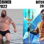 Bitcoiner 2022 vs Bitcoiner 2024 Aquaman