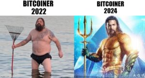 Bitcoiner 2022 vs Bitcoiner 2024 Aquaman